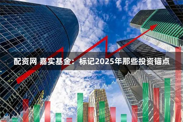 配资网 嘉实基金：标记2025年那些投资锚点